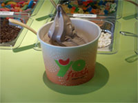 YoFresh Yogurt Café porduct