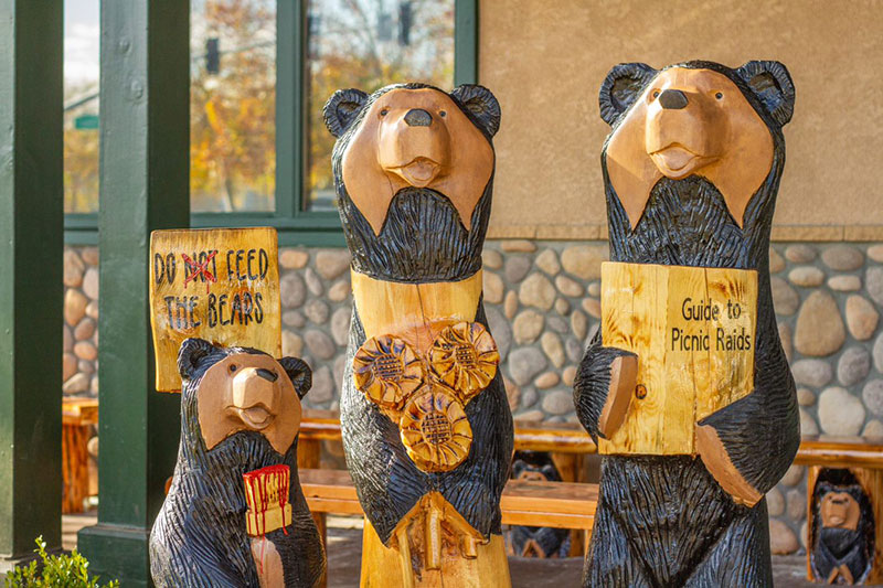 Black Bear Diners Franchise Opportunity