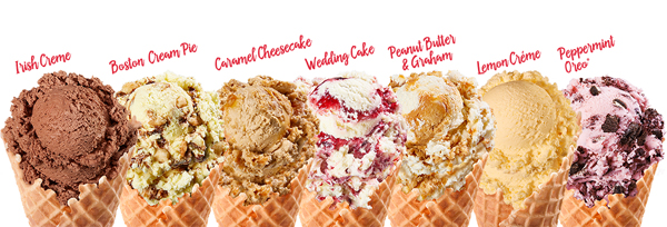 Bruster's Ice Cream Franchise Opportunity
