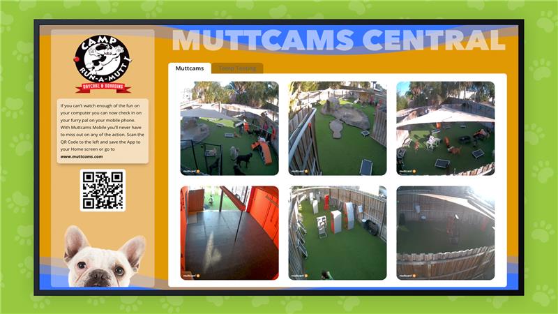 Camp Run-A-Mutt Franchise Opportunity