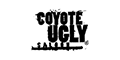 Coyote Ugly Franchise Opportunity