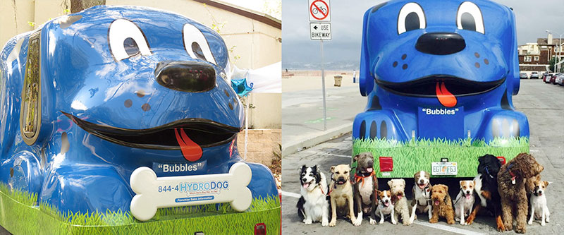 HydroDog franchise opportunity